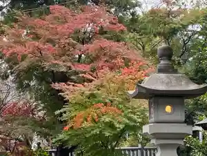 比々多神社のその他建物(2021年11月22日(月) 11時33分50秒投稿)