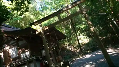 出雲大神宮の鳥居