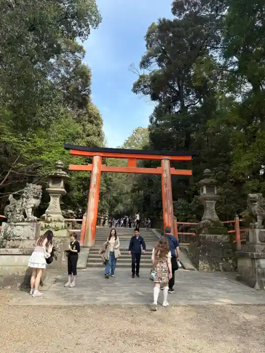 春日大社の{uncategorized: "未分類", other: "その他", undefined: "問題あり", building: "その他建物", grave: "お墓", sacred_gate: "鳥居", guardian: "狛犬", statue: "像", buddha: "仏像", history: "歴史", nature: "自然", garden: "庭園", animal: "動物", pagoda: "塔", temizu: "手水舎", mountain_gate: "山門・神門", sanctuary: "本殿・本堂", subordinate: "末社・摂社", art: "芸術", scenery: "景色", jizo: "地蔵", ema: "絵馬", goshuin: "御朱印", omikuji: "おみくじ", items: "授与品その他", amulet: "お守り", goshuincho: "御朱印帳", eats: "食事", festival: "お祭り", votive_dance: "神楽", shichigosan: "七五三参", wedding: "結婚式", experience: "体験その他", initially: "初詣", around: "周辺", anti_infection: "感染症対策"}