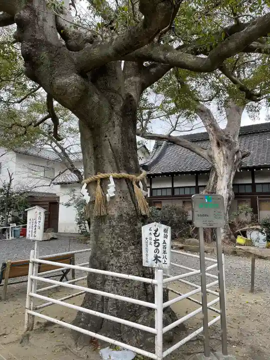 生根神社(大阪府)