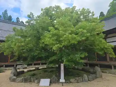 喜見院(滋賀県)