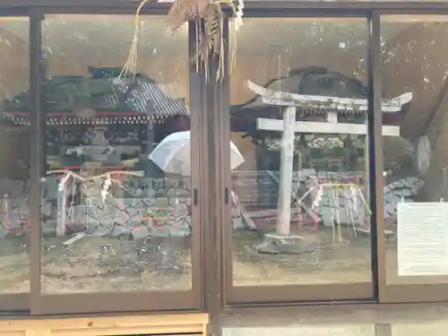 伊豫岡八幡神社のお祭り