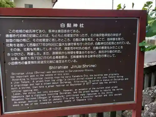 白髭神社(神奈川県)