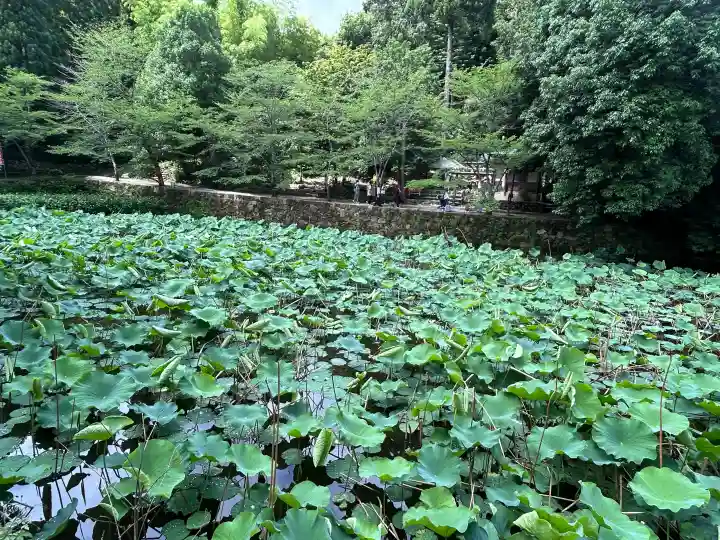 御髪神社(京都府)