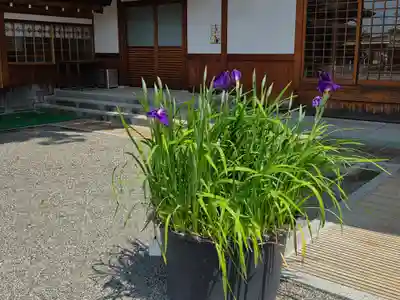 尾張大國霊神社（国府宮）(愛知県)