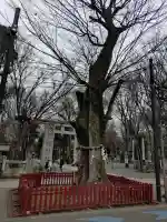 大國魂神社の{uncategorized: "未分類", other: "その他", undefined: "問題あり", building: "その他建物", grave: "お墓", sacred_gate: "鳥居", guardian: "狛犬", statue: "像", buddha: "仏像", history: "歴史", nature: "自然", garden: "庭園", animal: "動物", pagoda: "塔", temizu: "手水舎", mountain_gate: "山門・神門", sanctuary: "本殿・本堂", subordinate: "末社・摂社", art: "芸術", scenery: "景色", jizo: "地蔵", ema: "絵馬", goshuin: "御朱印", omikuji: "おみくじ", items: "授与品その他", amulet: "お守り", goshuincho: "御朱印帳", eats: "食事", festival: "お祭り", votive_dance: "神楽", shichigosan: "七五三参", wedding: "結婚式", experience: "体験その他", initially: "初詣", around: "周辺", anti_infection: "感染症対策"}