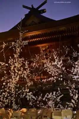 湯島天満宮(東京都)