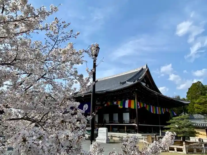 くろ谷 金戒光明寺のその他建物