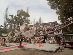 阿部野神社(大阪府)