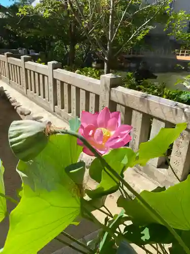 生田神社(兵庫県)