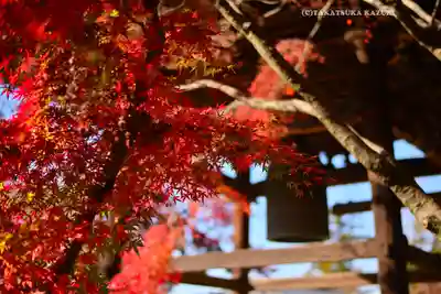 東漸寺(千葉県)