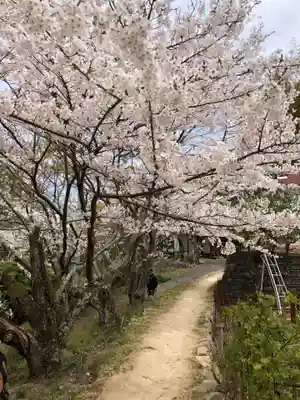 大山祇神社のその他建物