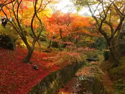 東福禅寺(東福寺)(京都府)