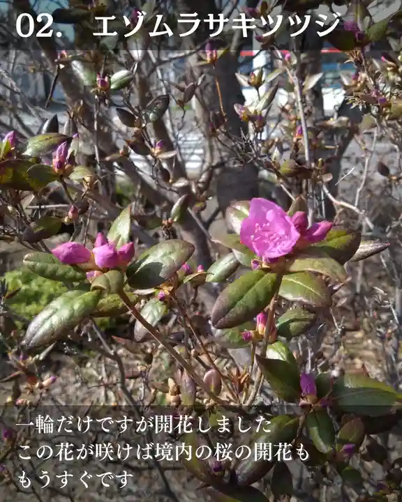宝光寺(北海道)