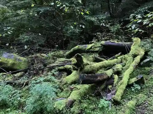 日光二荒山神社の自然