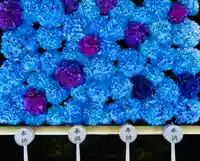 土津神社|こどもと出世の神さま(福島県)