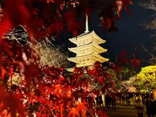 東寺（教王護国寺）の塔