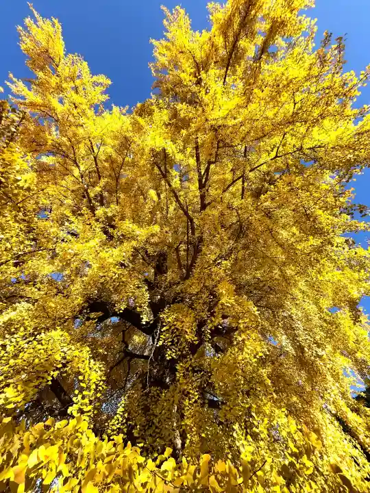 丹生酒殿神社(和歌山県)