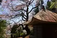 荒井馬頭観音堂の本殿・本堂