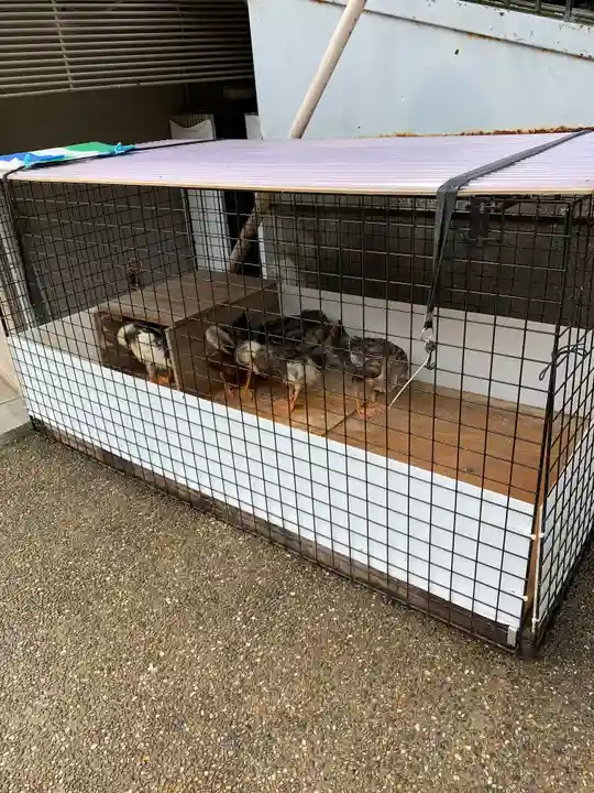生田神社(兵庫県)