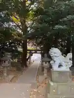 大宮神社(千葉県)