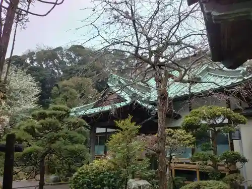 荘厳寺(神奈川県)