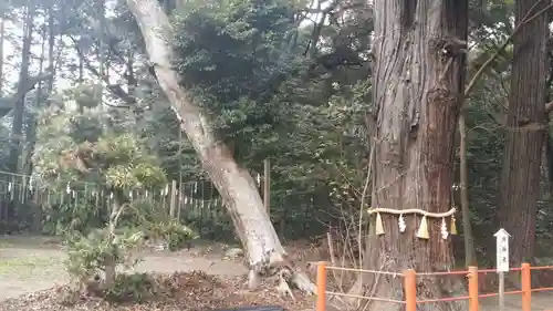 息栖神社のその他建物