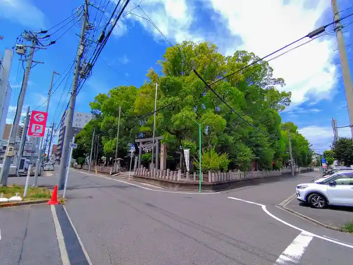 六所社(下飯田)の自然