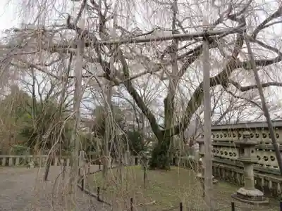 大石神社(京都府)