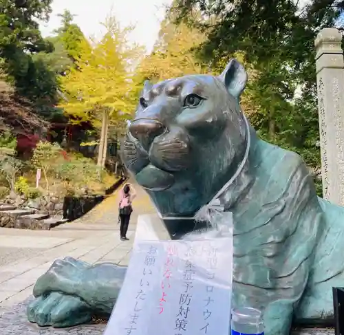 金剛證寺の狛犬