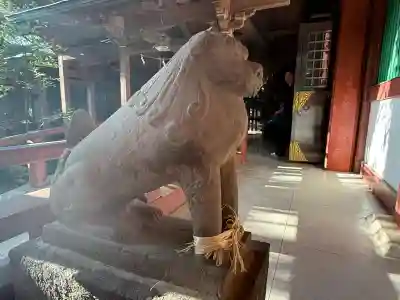 越ヶ谷久伊豆神社(埼玉県)