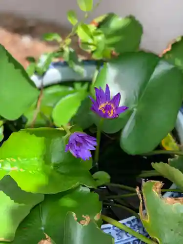 上行寺(静岡県)