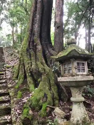 熊按神社の自然
