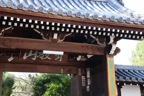 吉祥寺の山門