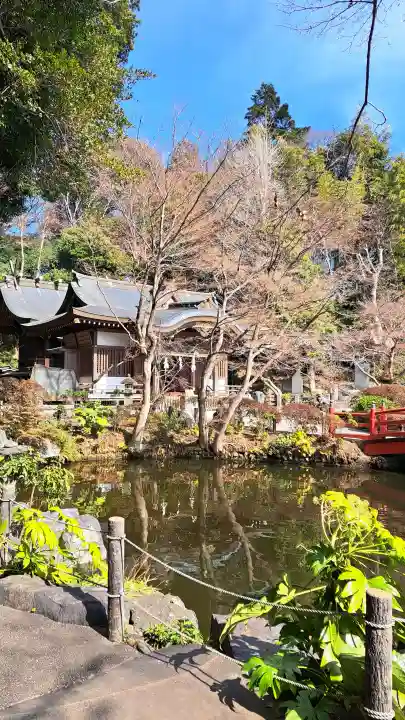 貫井神社の{uncategorized: "未分類", other: "その他", undefined: "問題あり", building: "その他建物", grave: "お墓", sacred_gate: "鳥居", guardian: "狛犬", statue: "像", buddha: "仏像", history: "歴史", nature: "自然", garden: "庭園", animal: "動物", pagoda: "塔", temizu: "手水舎", mountain_gate: "山門・神門", sanctuary: "本殿・本堂", subordinate: "末社・摂社", art: "芸術", scenery: "景色", jizo: "地蔵", ema: "絵馬", goshuin: "御朱印", omikuji: "おみくじ", items: "授与品その他", amulet: "お守り", goshuincho: "御朱印帳", eats: "食事", festival: "お祭り", votive_dance: "神楽", shichigosan: "七五三参", wedding: "結婚式", experience: "体験その他", initially: "初詣", around: "周辺", anti_infection: "感染症対策"}