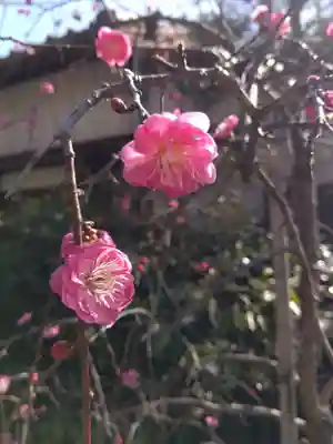 御厨神社(三重県)