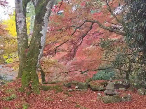 高源寺(兵庫県)
