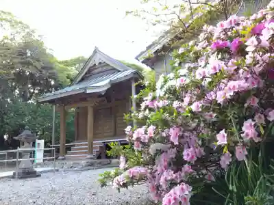 大日庵(愛知県)