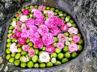 廣田神社~病厄除守護神~(青森県)