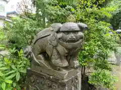 菊田神社の狛犬