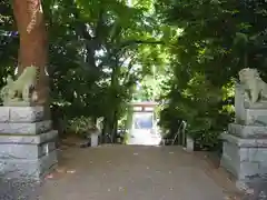 南沢氷川神社(東京都)