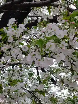 池上本門寺(東京都)
