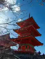 清水寺の{uncategorized: "未分類", other: "その他", undefined: "問題あり", building: "その他建物", grave: "お墓", sacred_gate: "鳥居", guardian: "狛犬", statue: "像", buddha: "仏像", history: "歴史", nature: "自然", garden: "庭園", animal: "動物", pagoda: "塔", temizu: "手水舎", mountain_gate: "山門・神門", sanctuary: "本殿・本堂", subordinate: "末社・摂社", art: "芸術", scenery: "景色", jizo: "地蔵", ema: "絵馬", goshuin: "御朱印", omikuji: "おみくじ", items: "授与品その他", amulet: "お守り", goshuincho: "御朱印帳", eats: "食事", festival: "お祭り", votive_dance: "神楽", shichigosan: "七五三参", wedding: "結婚式", experience: "体験その他", initially: "初詣", around: "周辺", anti_infection: "感染症対策"}