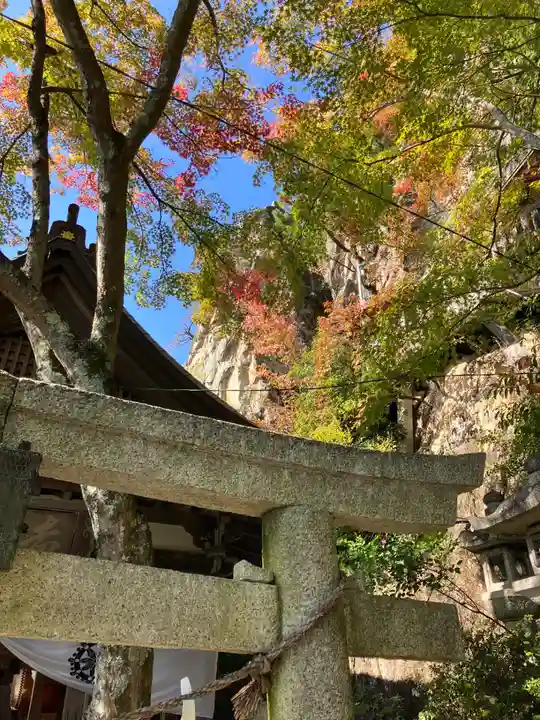阿賀神社の鳥居