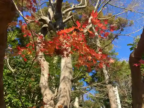 杉本寺(神奈川県)