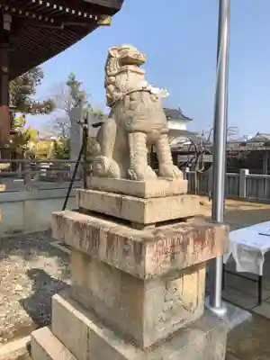 赤穂大石神社の狛犬