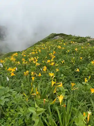 白山比咩神社　奥宮(石川県)