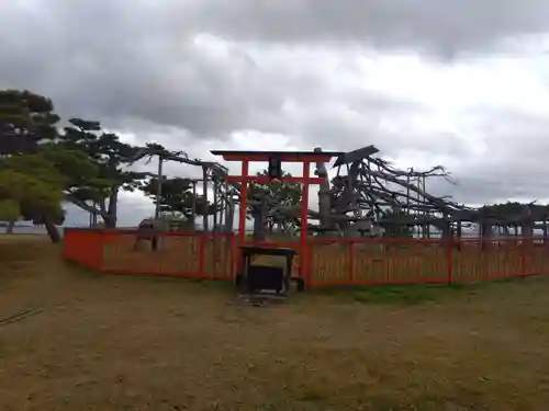 唐崎神社(滋賀県)