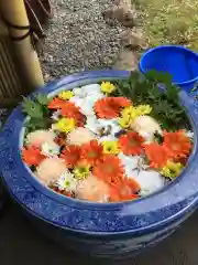 多賀神社の手水