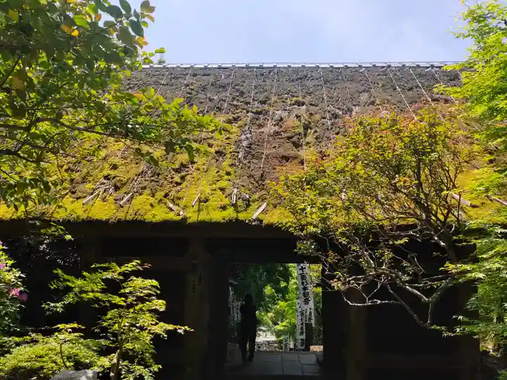 杉本寺(神奈川県)